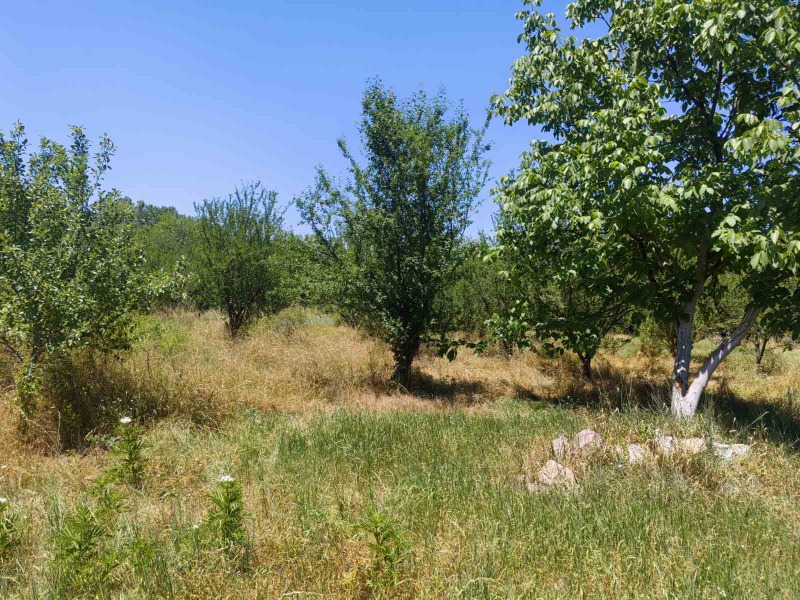 Til salg  Grund Sofia , Busmantsi , 1350 kvm | 58851356 - billede [3]