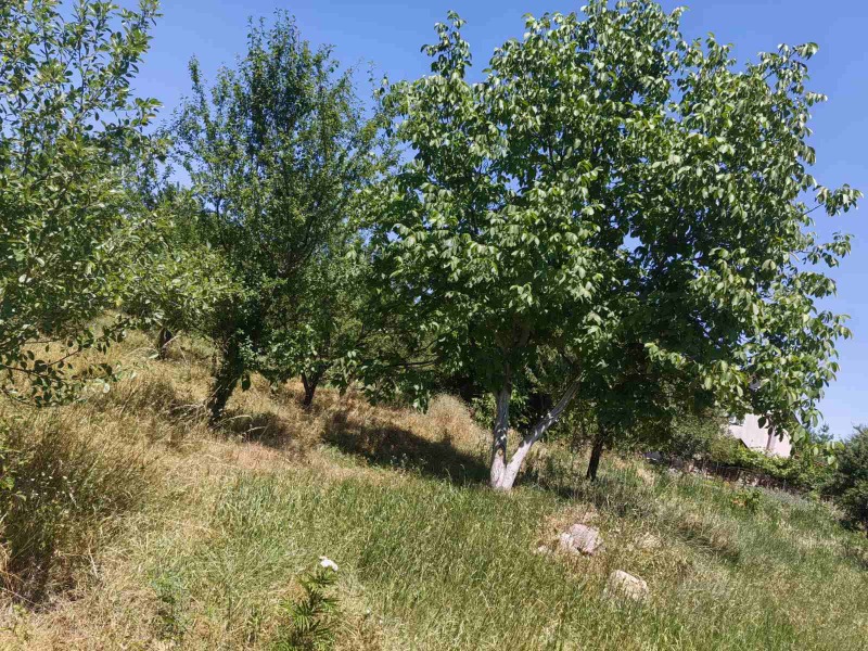 Til salg  Grund Sofia , Busmantsi , 1350 kvm | 58851356 - billede [4]