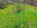 Продава ПАРЦЕЛ, с. Саласука, област Габрово, снимка 2