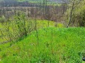 Продава ПАРЦЕЛ, с. Саласука, област Габрово, снимка 2
