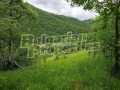 Продава КЪЩА, област Ловеч, с. Черни Вит • 50000 € • 76535492 — Holmes.bg