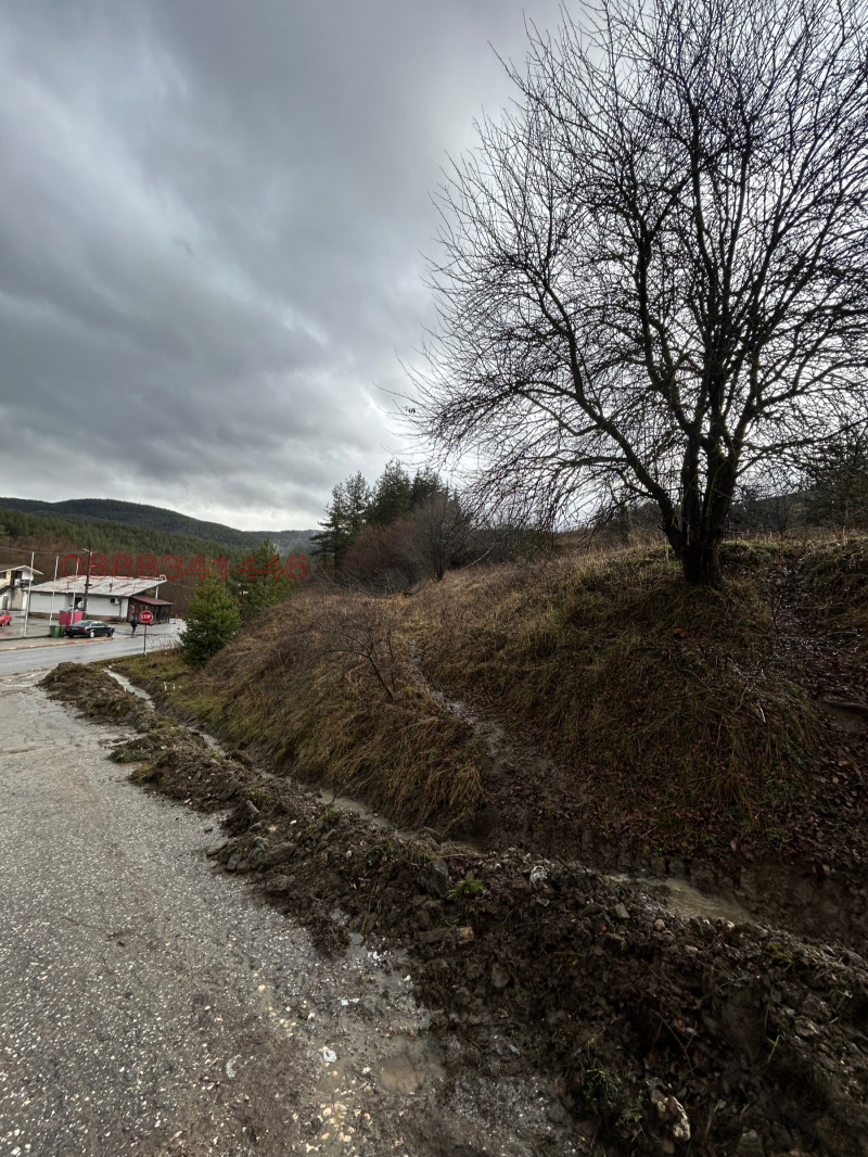 Продава ПАРЦЕЛ, гр. Батак, област Пазарджик, снимка 7 - Парцели - 52784700