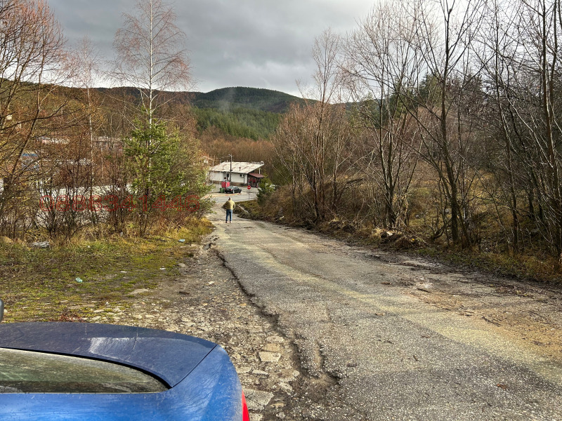 Продава ПАРЦЕЛ, гр. Батак, област Пазарджик, снимка 12 - Парцели - 52784700