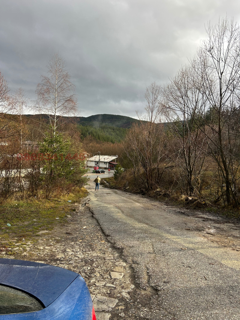 Продава ПАРЦЕЛ, гр. Батак, област Пазарджик, снимка 11 - Парцели - 52784700