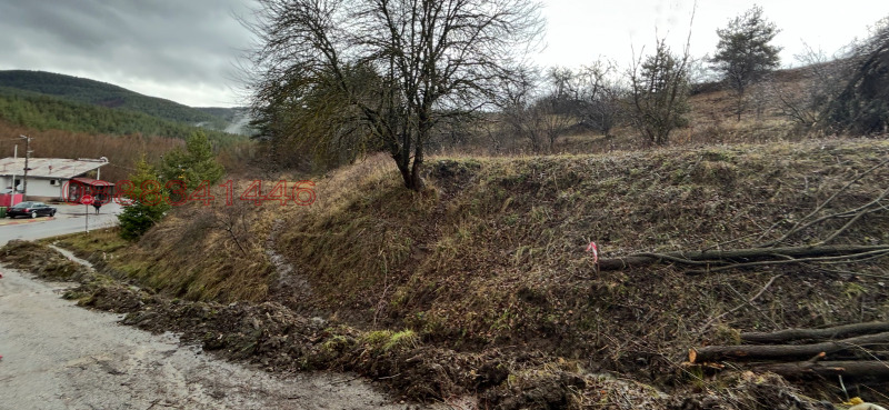 Продава ПАРЦЕЛ, гр. Батак, област Пазарджик, снимка 3 - Парцели - 52784700