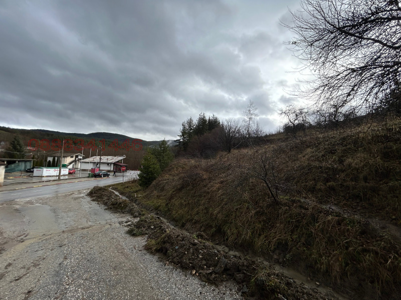 Продава ПАРЦЕЛ, гр. Батак, област Пазарджик, снимка 10 - Парцели - 52784700