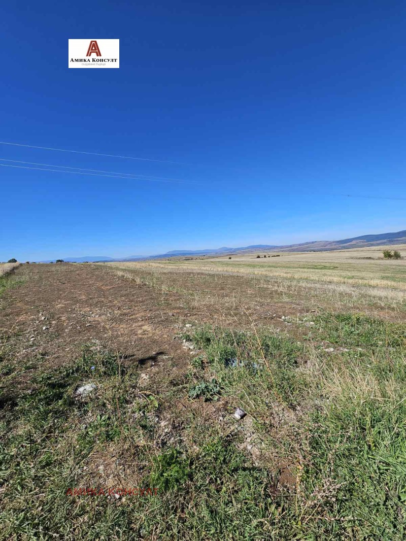 For Sale  Plot region Kyustendil , Sapareva banya , 2484 sq.m | 50639941