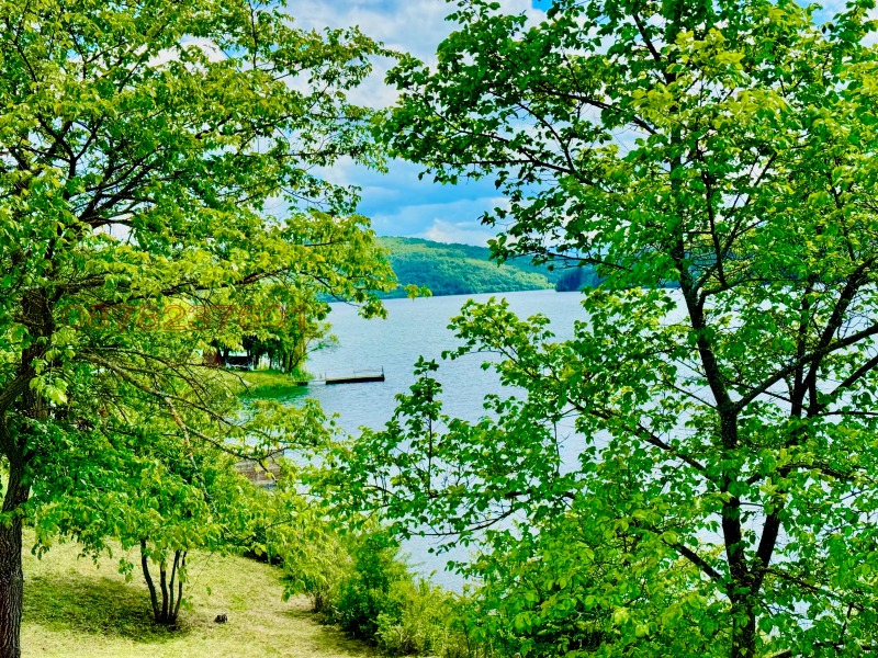 Na sprzedaż  Działka region Pernika , jaz. Pczelina , 2600 mkw | 33093733 - obraz [8]