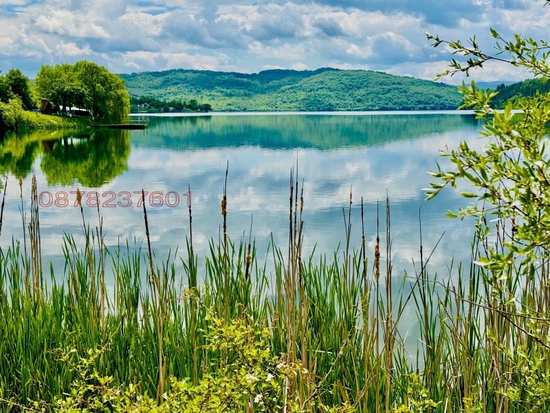 Na sprzedaż  Działka region Pernika , jaz. Pczelina , 2600 mkw | 33093733 - obraz [3]
