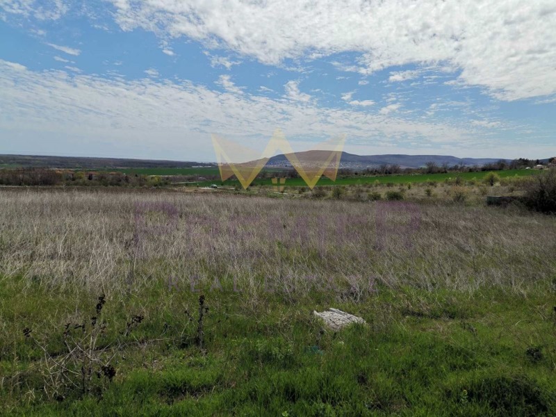 For Sale  Plot region Dobrich , Rogachevo , 5600 sq.m | 37325693 - image [6]