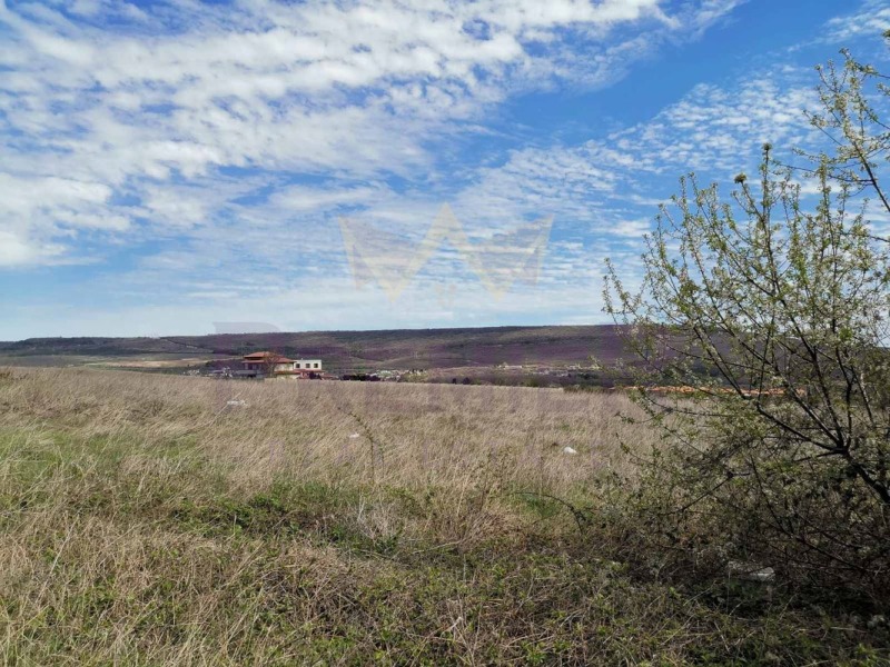 For Sale  Plot region Dobrich , Rogachevo , 5600 sq.m | 37325693 - image [2]