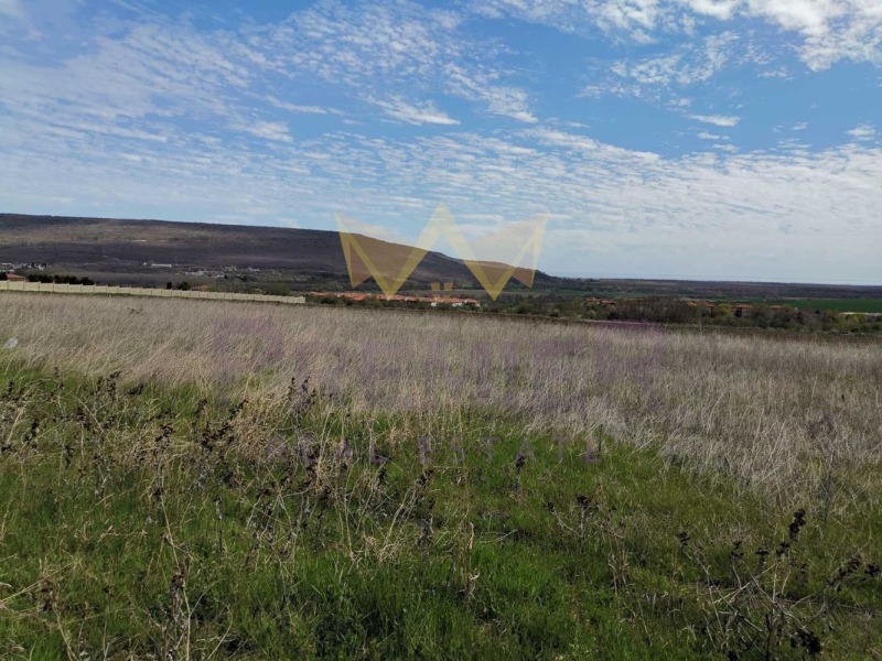 For Sale  Plot region Dobrich , Rogachevo , 5600 sq.m | 37325693 - image [5]