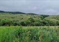Продава  Парцел област Перник , с. Гърло , 1341 кв.м | 43970268