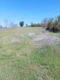 Продава ПАРЦЕЛ, област Шумен, с. Черенча • 11000 лв. • 24014323 — Holmes.bg