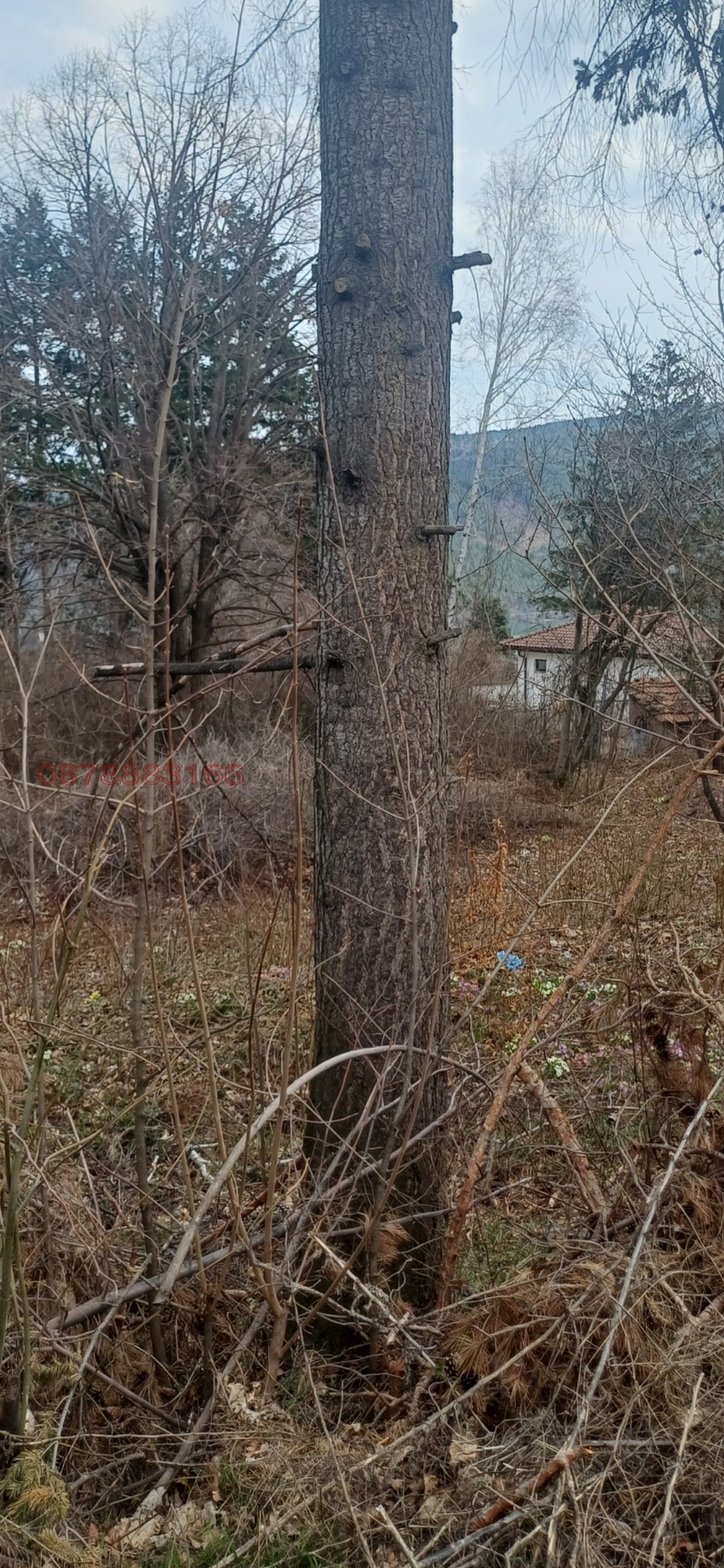 ������� ������ | Imot.bg � ����������� 5