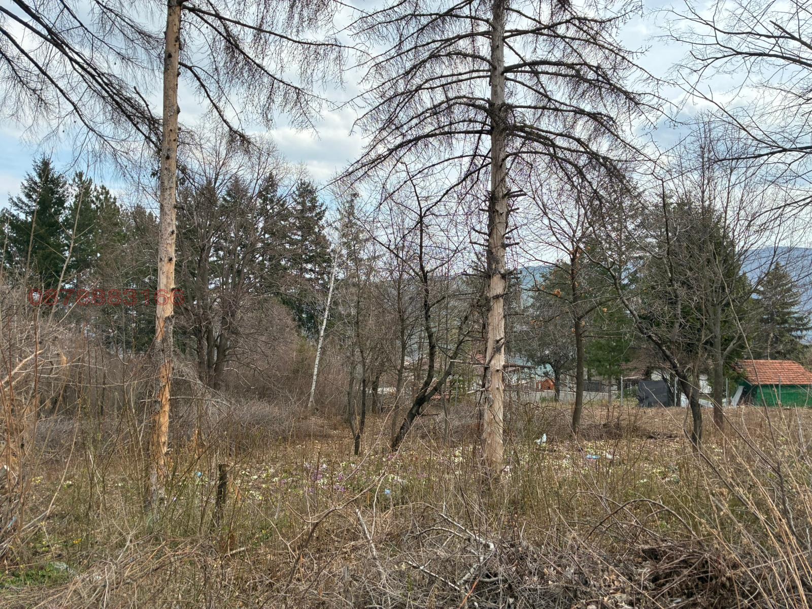 ������� ������ | Imot.bg � ����������� 15