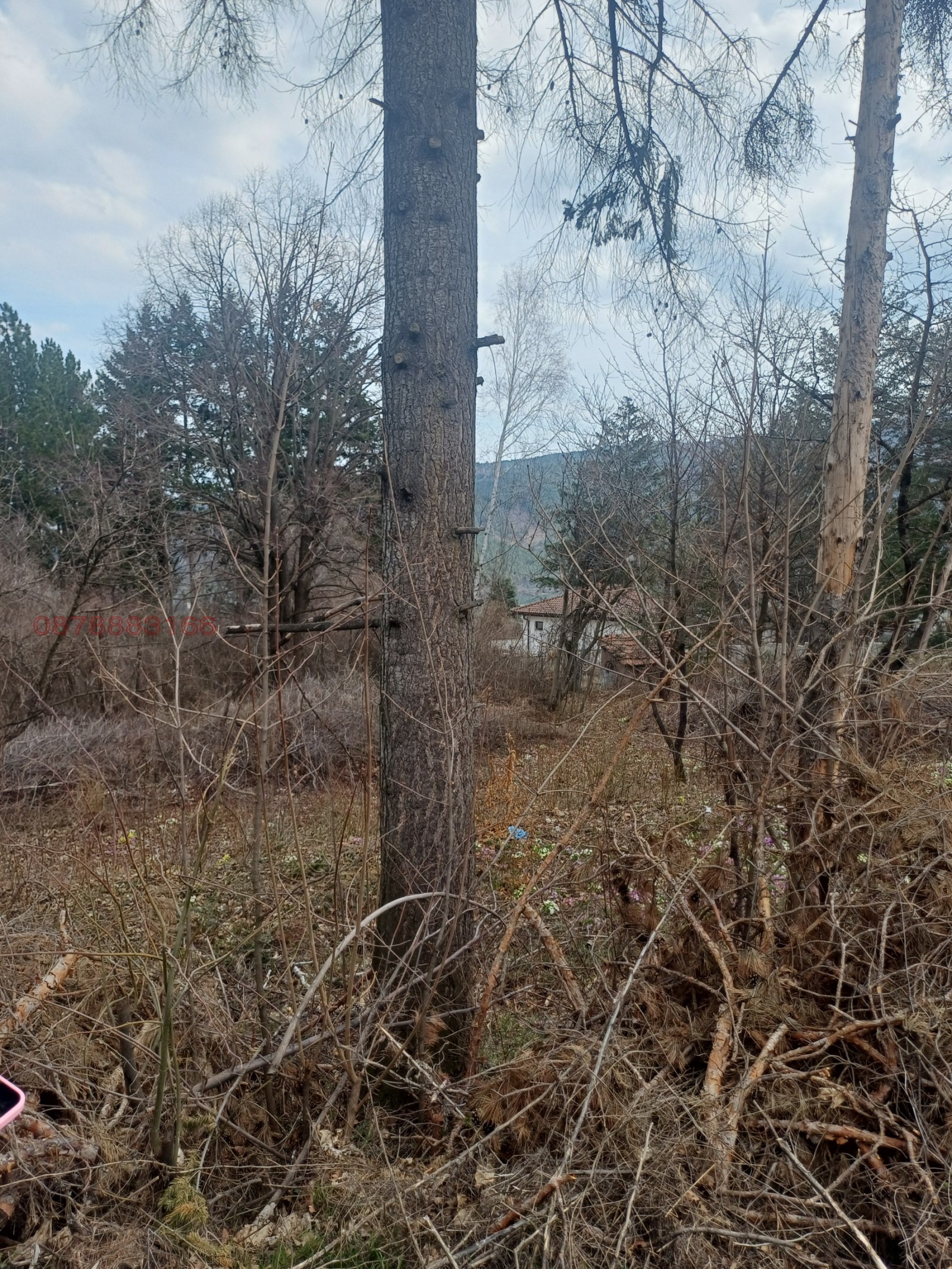 ������� ������ | Imot.bg � ����������� 3