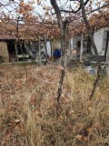 Продава КЪЩА, с. Ръжево Конаре, област Пловдив, снимка 4
