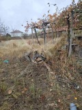 Продава КЪЩА, с. Ръжево Конаре, област Пловдив, снимка 3