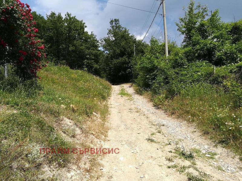 ������� ������ | Imot.bg � ����������� 7