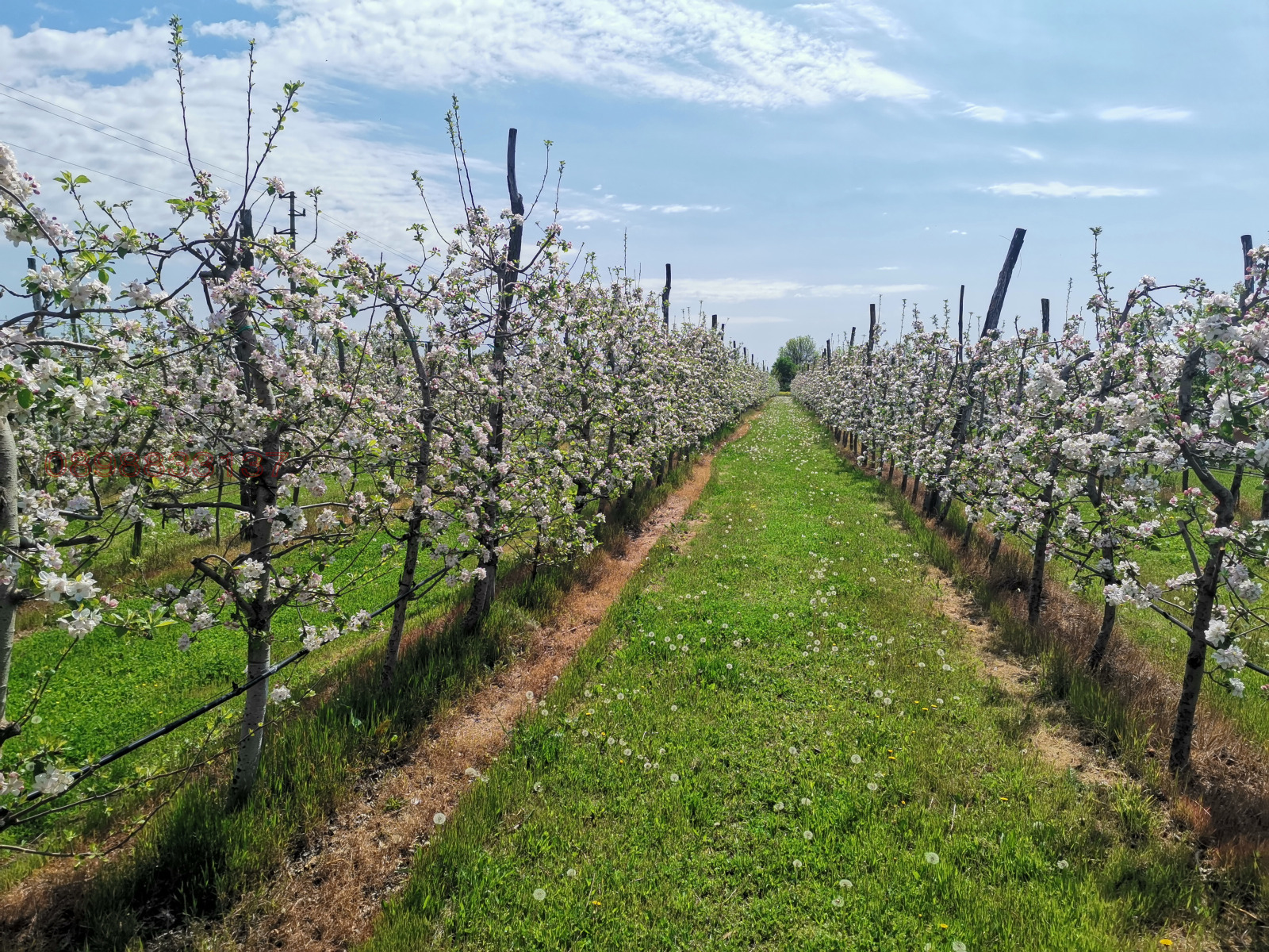 ������� ���������� ���� | Imot.bg � ����������� 1