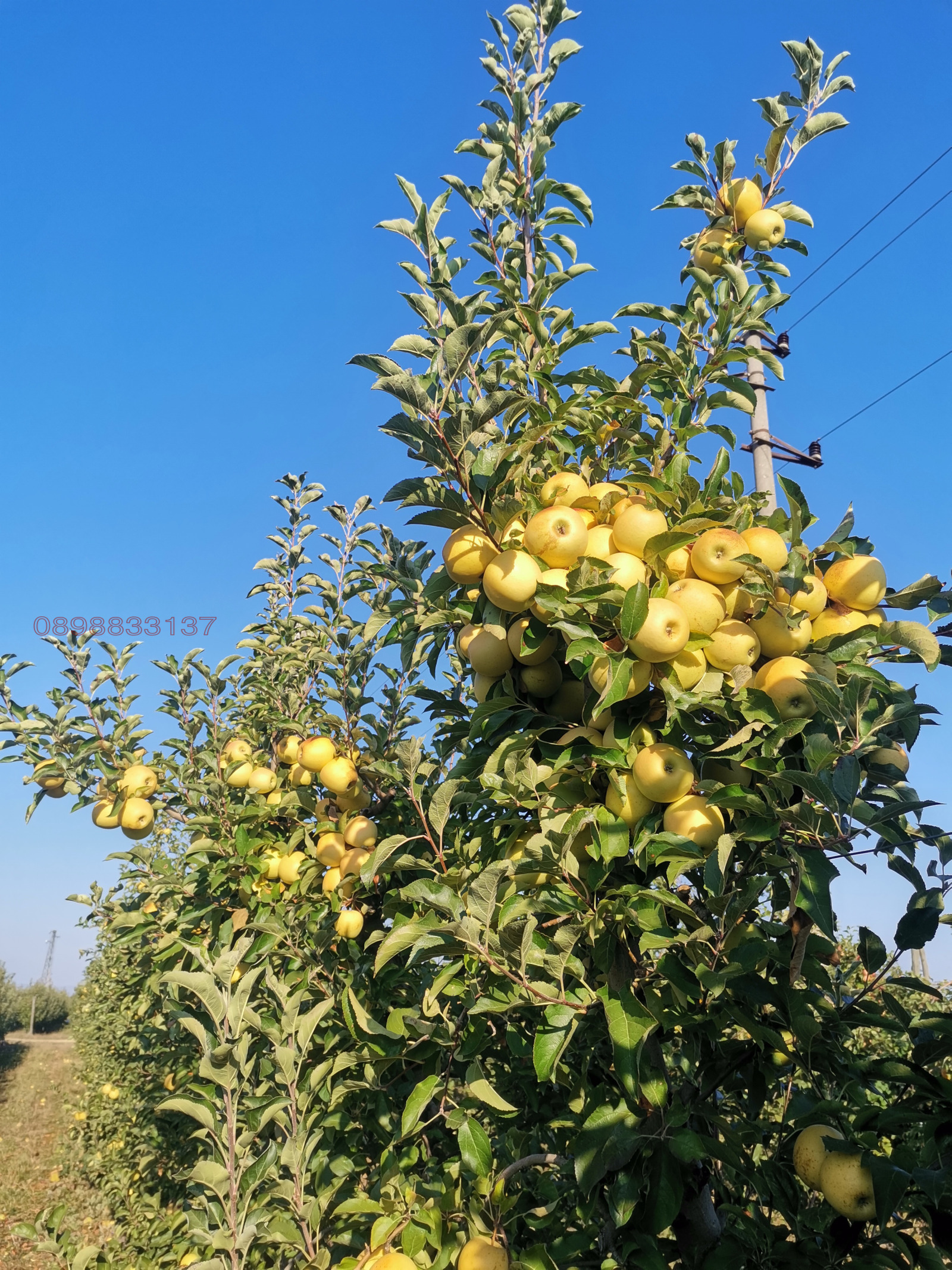 ������� ���������� ���� | Imot.bg � ����������� 3