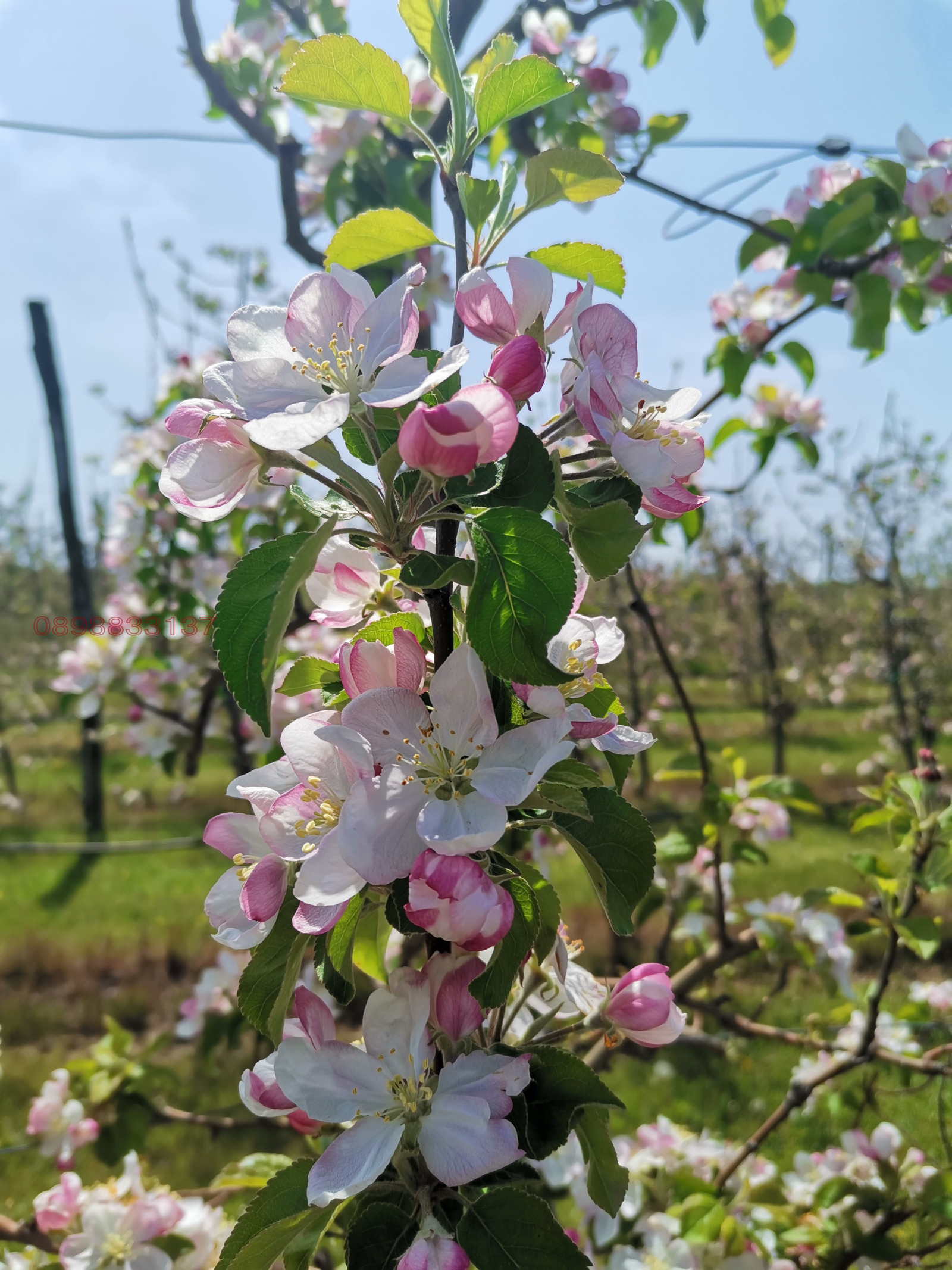 ������� ���������� ���� | Imot.bg � ����������� 2