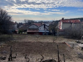 For Sale Plot