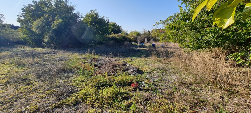 Продава ПАРЦЕЛ, област Пазарджик, с. Огняново • 25000 € / 48895.75 лв. • 53537607 1