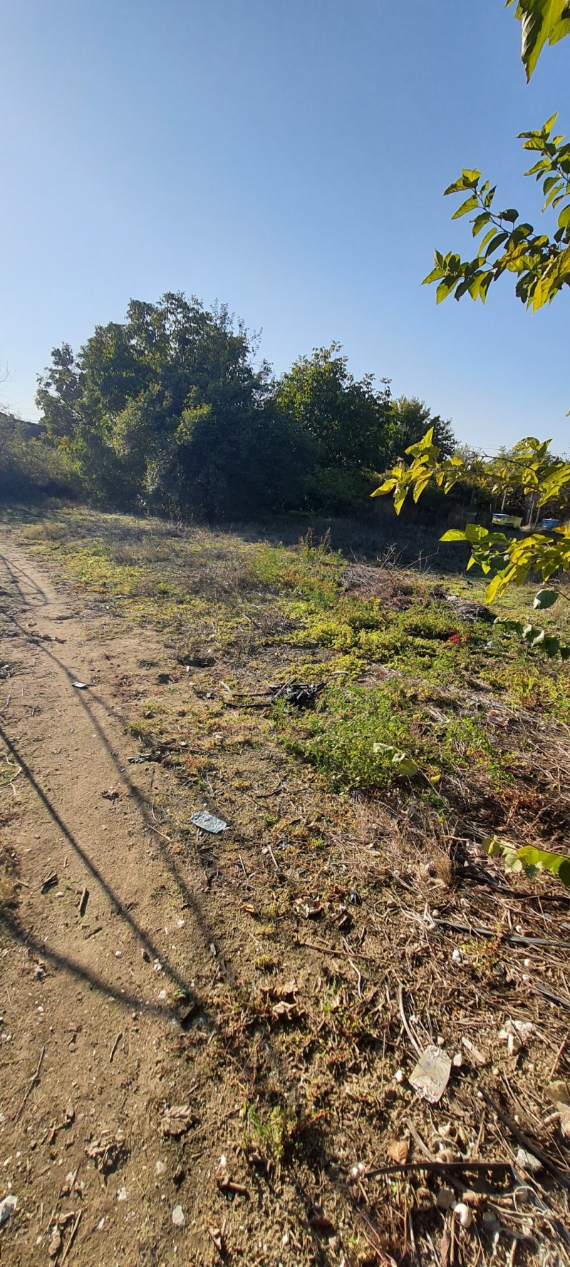 Продава ПАРЦЕЛ, с. Огняново, област Пазарджик, снимка 4 - Парцели - 52121384