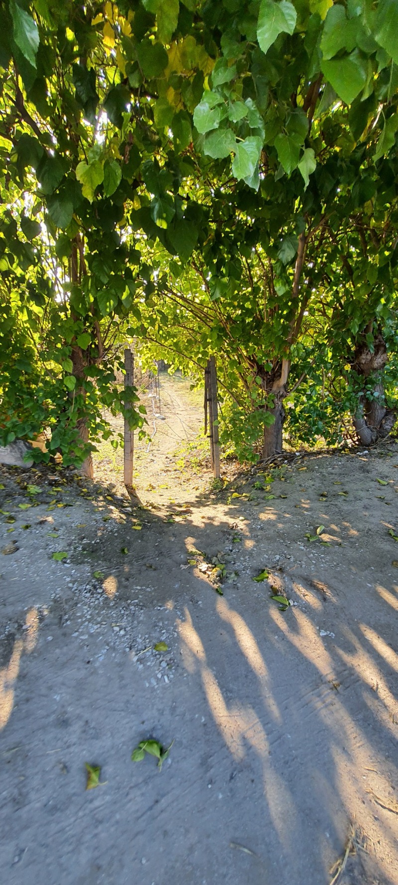 Продава ПАРЦЕЛ, с. Огняново, област Пазарджик, снимка 2 - Парцели - 52121384