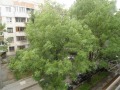 Продава 3-СТАЕН, гр. София, Сухата река, снимка 11