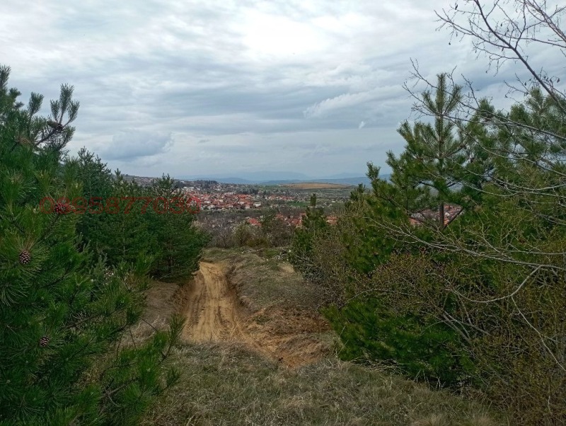 Продава ПАРЦЕЛ, гр. Сапарева баня, област Кюстендил, снимка 11 - Парцели - 52781407