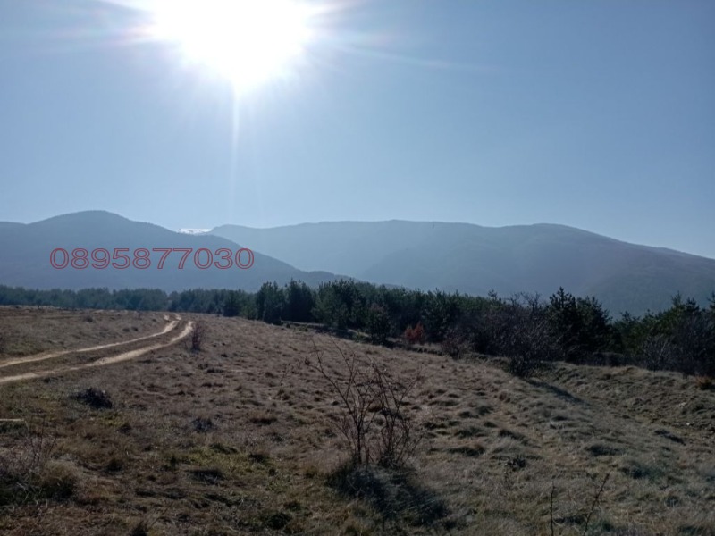 Продава ПАРЦЕЛ, гр. Сапарева баня, област Кюстендил, снимка 7 - Парцели - 52781407