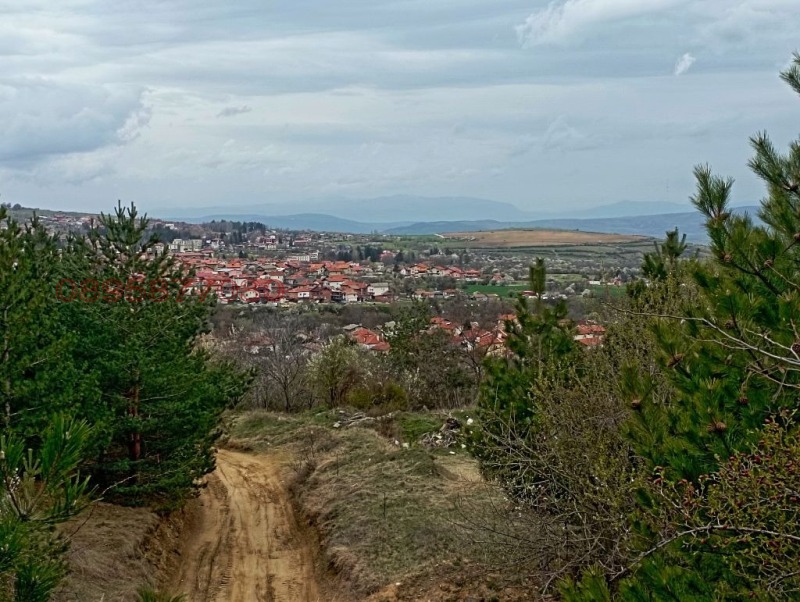 Продава ПАРЦЕЛ, гр. Сапарева баня, област Кюстендил, снимка 10 - Парцели - 52781407