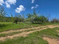 Продава ПАРЦЕЛ, област Пловдив, с. Брестник • 56000 € / 109526.48 лв. • 81867429 1