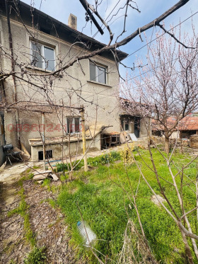 Hus Byala, region Ruse 3