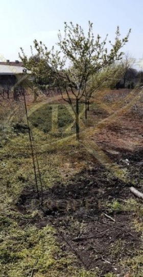 Продава ПАРЦЕЛ, с. Каменар, област Бургас, снимка 4 - Парцели - 54929383