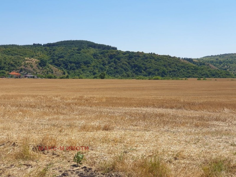 Na prodej  Spiknutí oblast Sofia , Cherakovo , 7000 m2 | 86947533 - obraz [3]