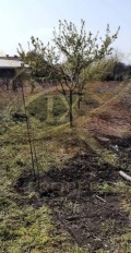 Продава  Парцел област Бургас , с. Каменар , 1500 кв.м | 33506255 - изображение [4]