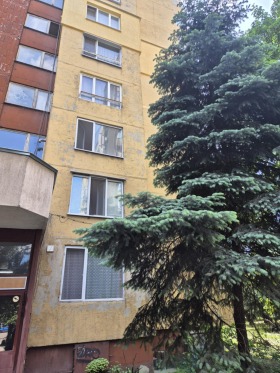 Estudio Sujata reka, Sofia