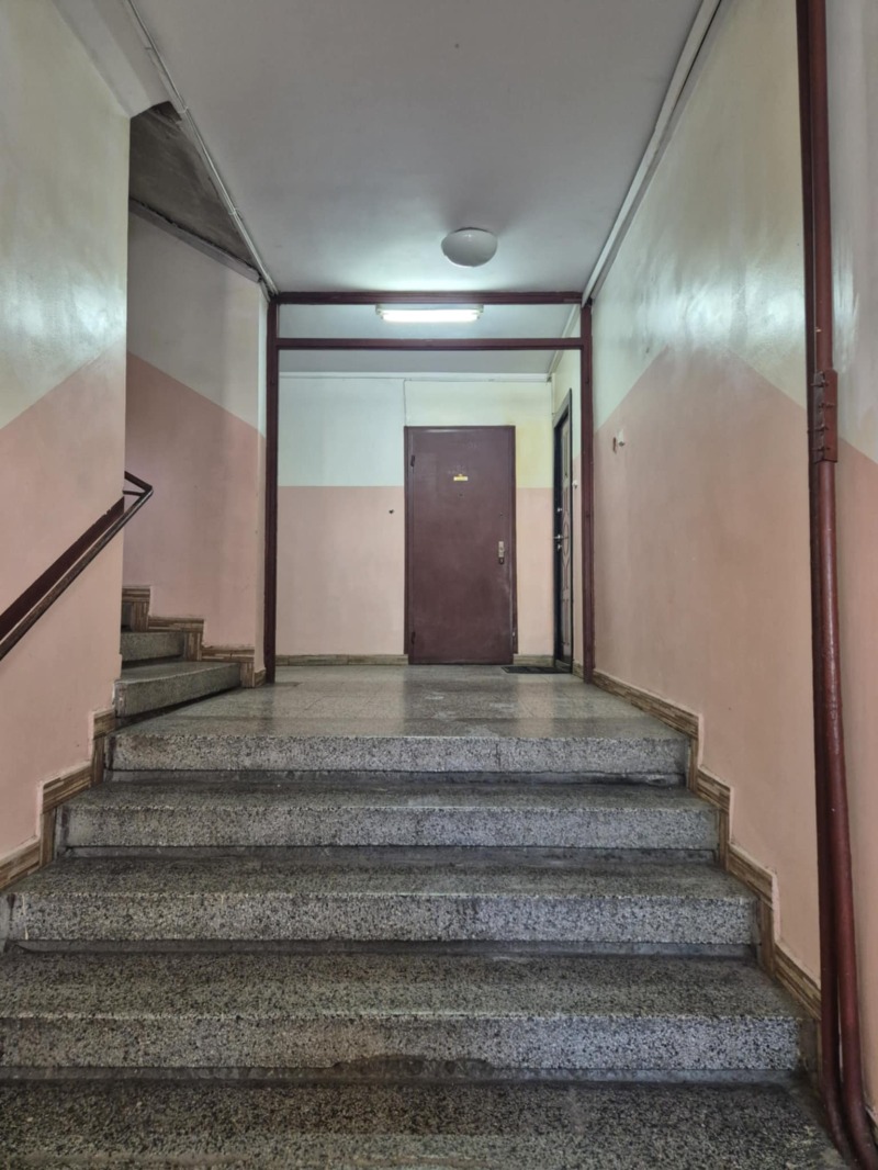 En venta  Estudio Sofia , Sujata reka , 32 metros cuadrados | 30108392 - imagen [2]