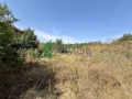 Продава  Парцел област Стара Загора , с. Трънково , 1380 кв.м | 97999428
