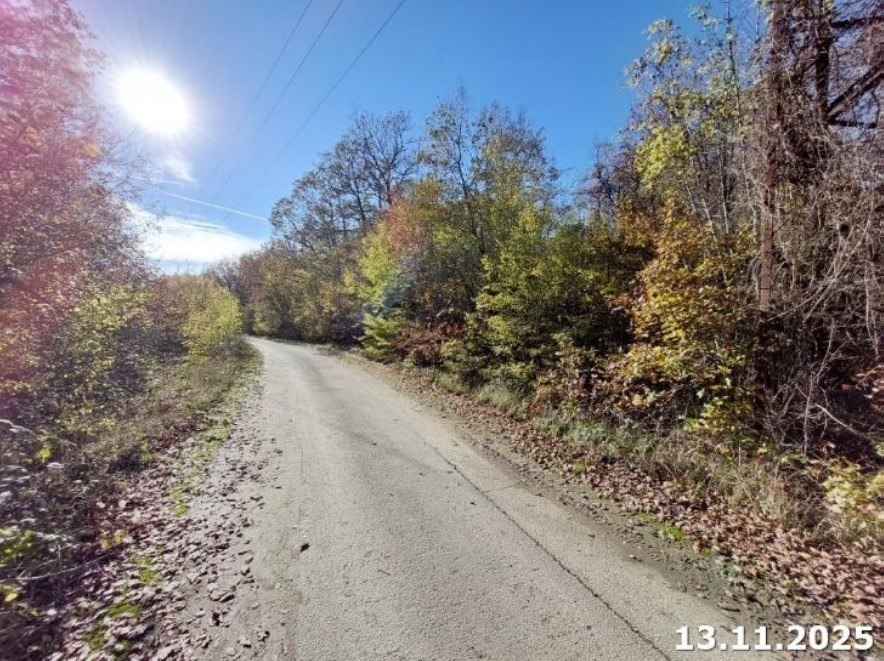Продава БИЗНЕС ИМОТ, с. Самотино, област Варна