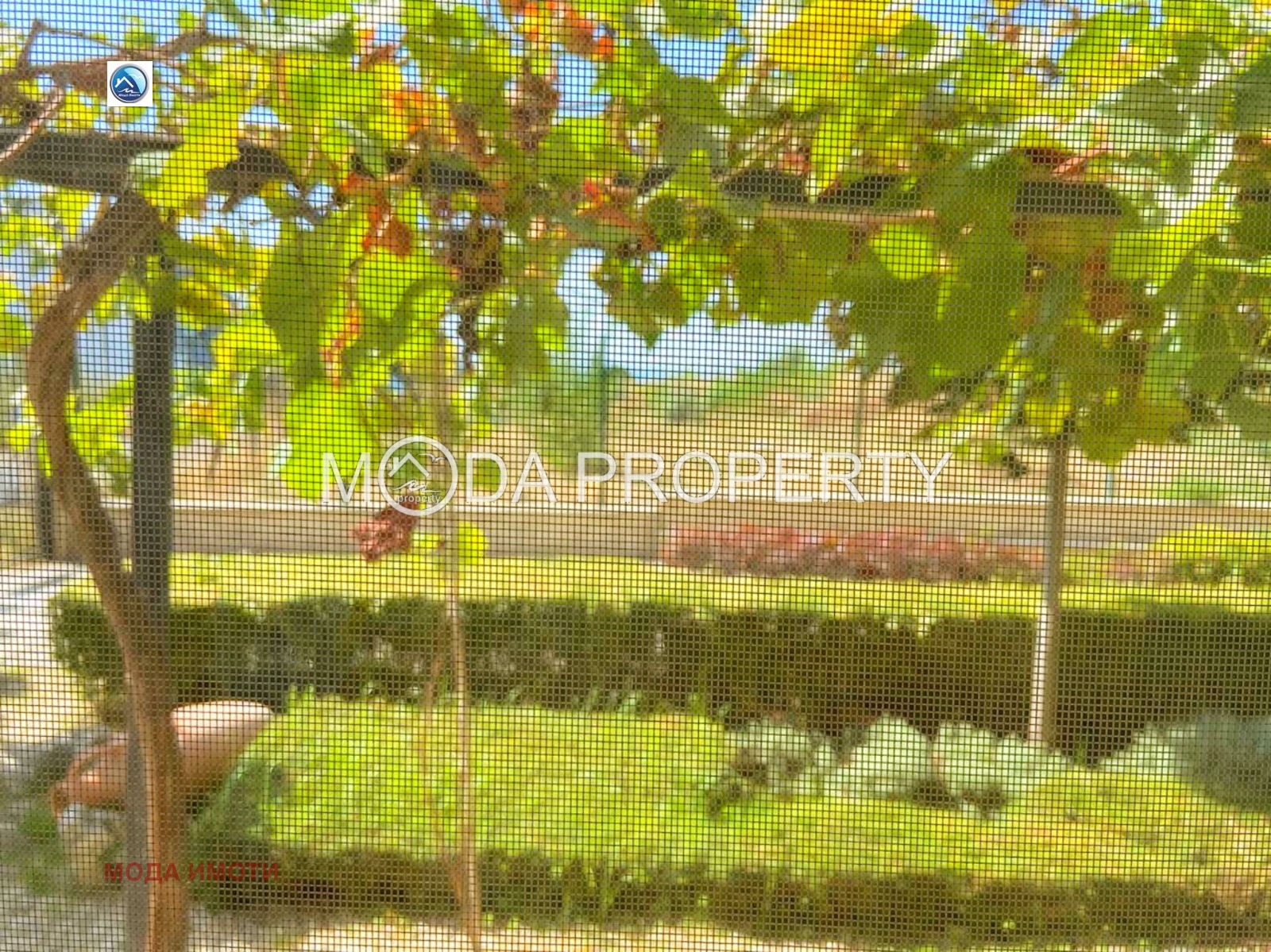 ������� 2-����� | Imot.bg � ����������� 11