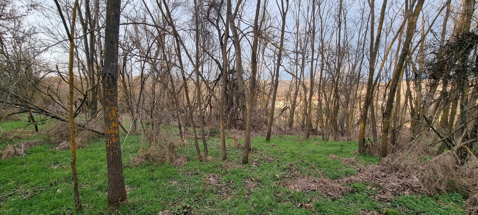 ������� ���� | Imot.bg � ����������� 5