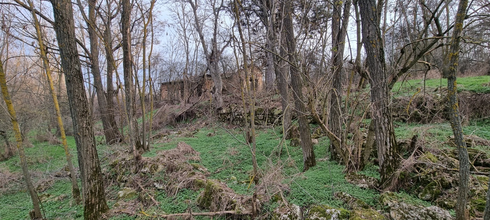 ������� ���� | Imot.bg � ����������� 2