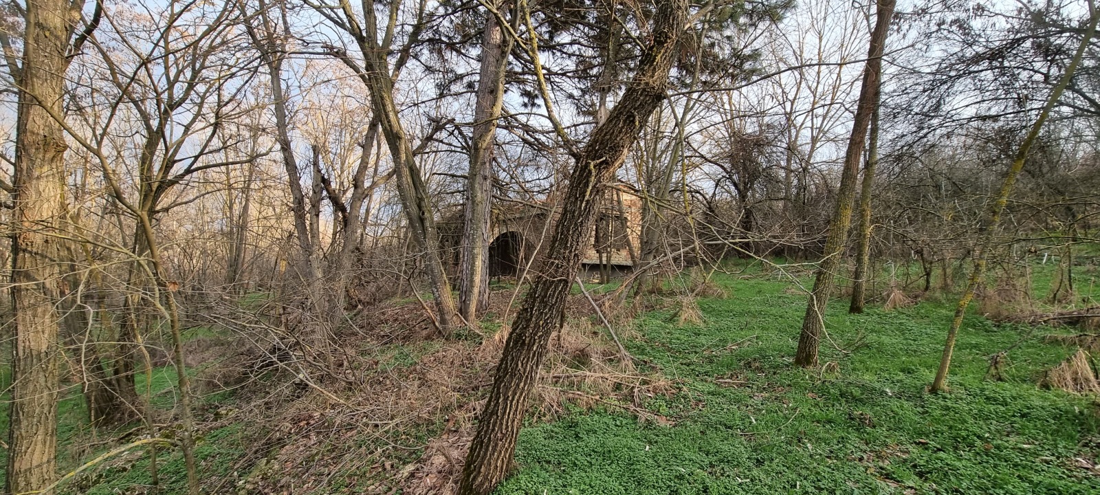 ������� ���� | Imot.bg � ����������� 7