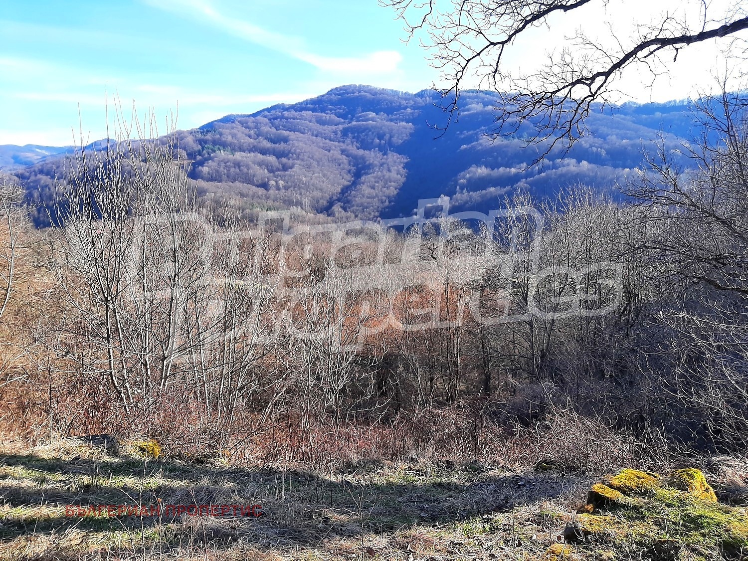 ������� ���� | Imot.bg � ����������� 5