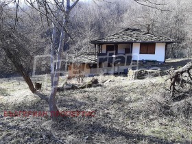 ����� ������� ����,�. �����, ������ �������